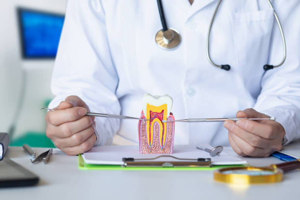 Best Tooth Infection Emergency Dentist  in Sedgwick, KS